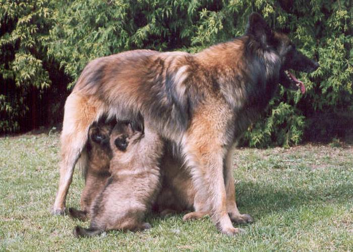 image_14.jpg