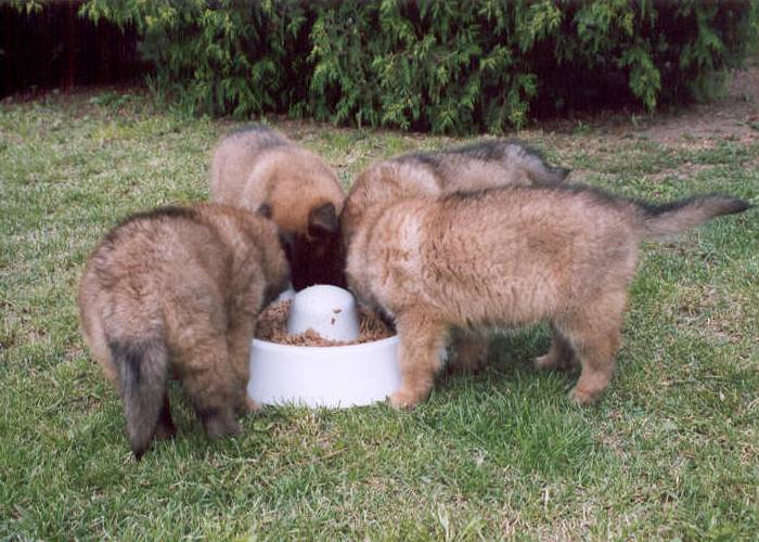 image_15.jpg