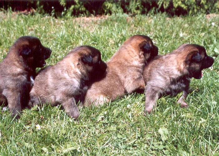 image_16.jpg