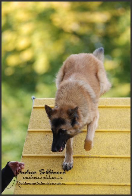 agility 7.jpg